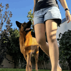 Bildschirmfoto 2025-09-27 um 09.35.39