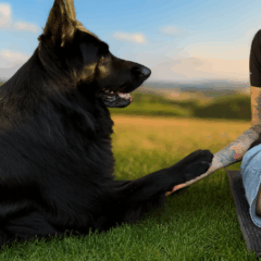 ChatGPT Image 27. Sept. 2025, 10_34_55